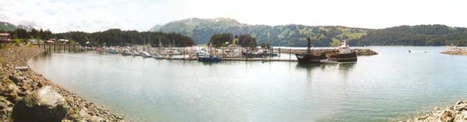 Seldovia boat harbor