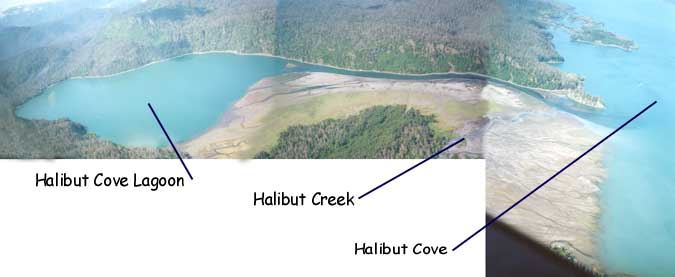 Aerial view of Halibut Cove Lagoon