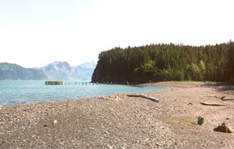 North Beach at Caines Head SP.