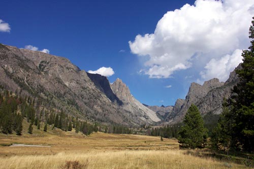 Crossing meadow