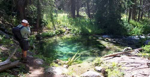 Fish aquarium spring