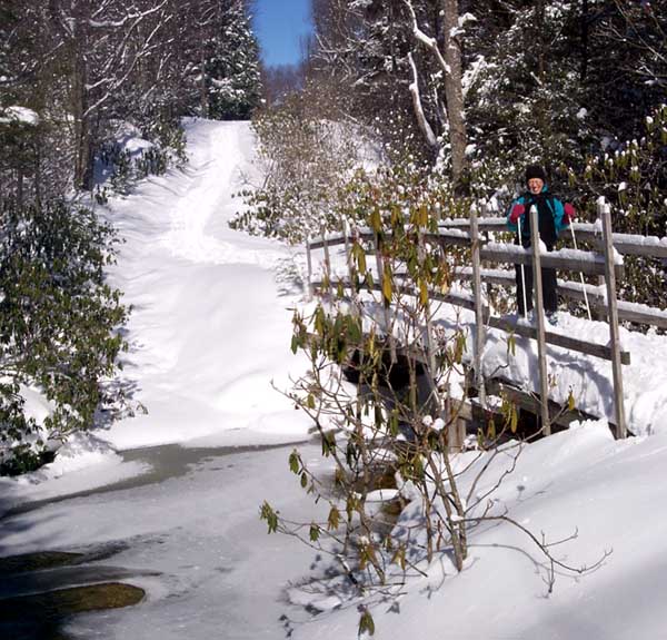 Diane on a bridge .