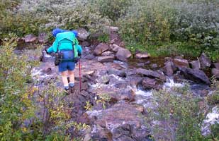 Diane gingerly crosses the iced over stream