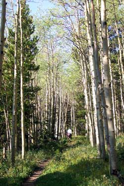 Venable Lake Trail